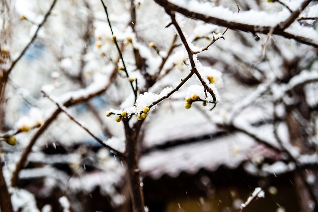 曼城在与其