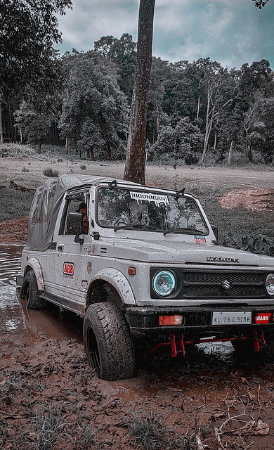 更是一种特 更是一种特