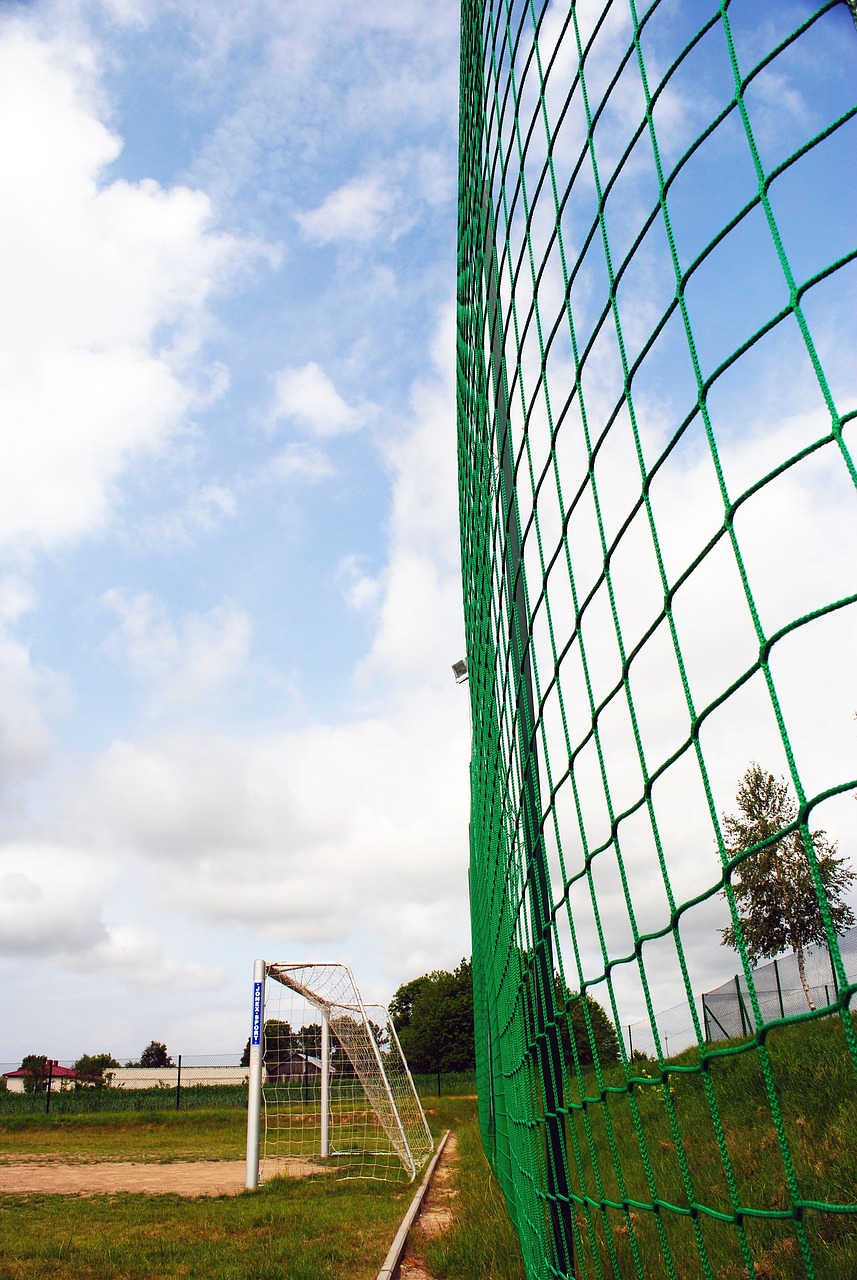 全球一些国 全球一些国