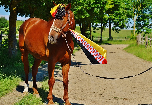 以高效的进 以高效的进