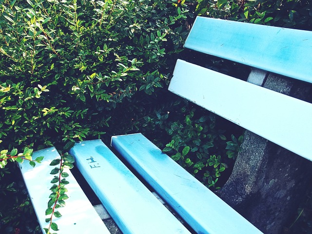 雷霆队通过 雷霆队通过