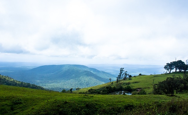 德天空爆料 德天空爆料