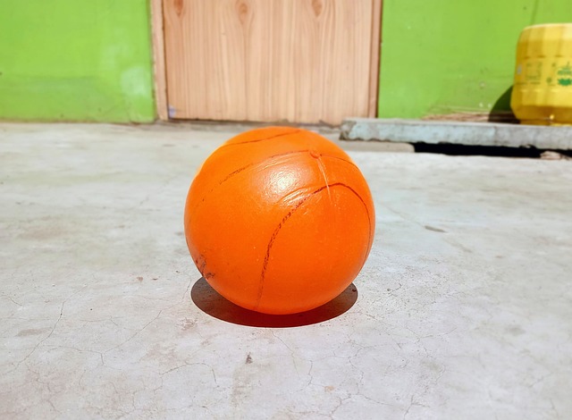 确保增肌后 确保增肌后