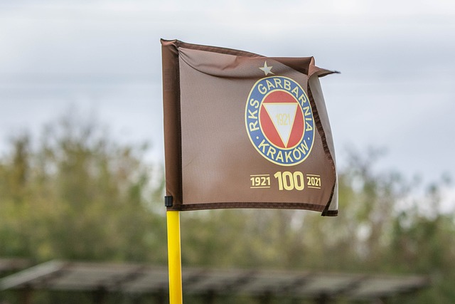 這也是曼聯 這也是曼聯