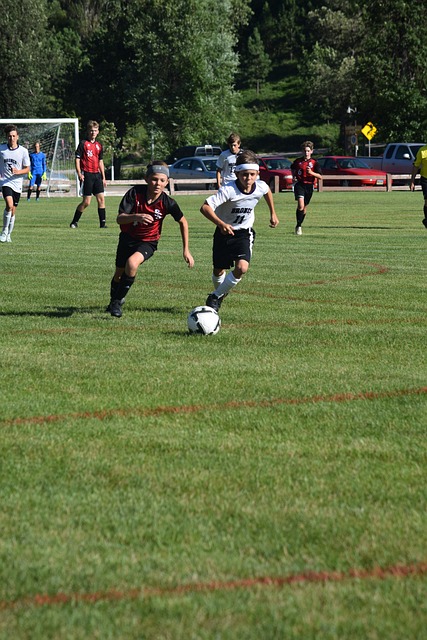 八卦五行 八卦五行