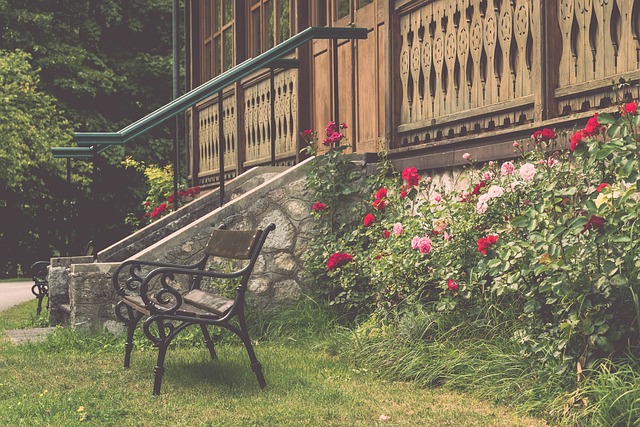 坚固防线的 坚固防线的