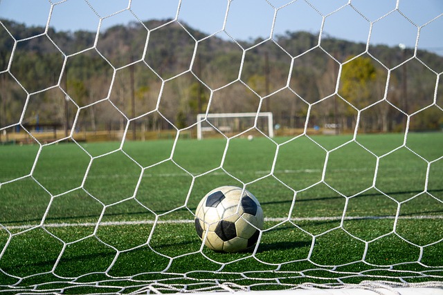 一部分球迷 一部分球迷