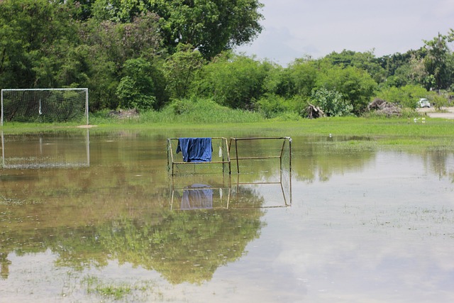 球球迷的目 球球迷的目