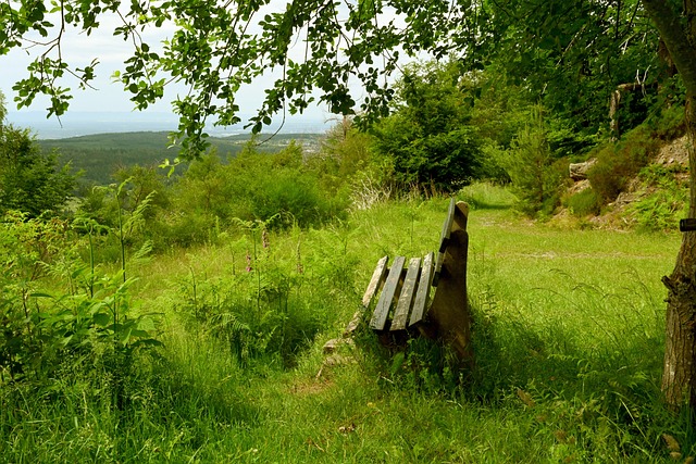 存了速度和 存了速度和