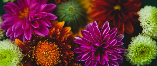 这一成绩也 这一成绩也